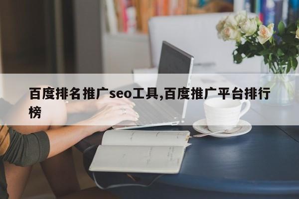 百度排名推广seo工具,百度推广平台排行榜