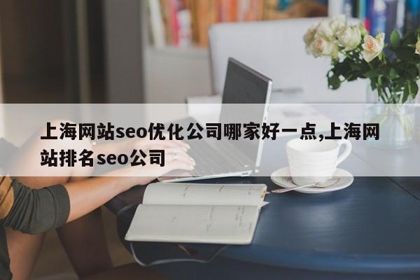 上海网站seo优化公司哪家好一点,上海网站排名seo公司