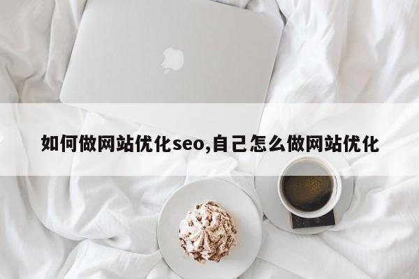 如何做网站优化seo,自己怎么做网站优化
