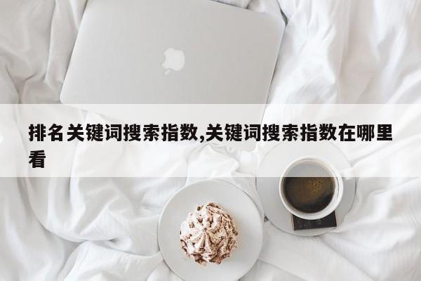 排名关键词搜索指数,关键词搜索指数在哪里看