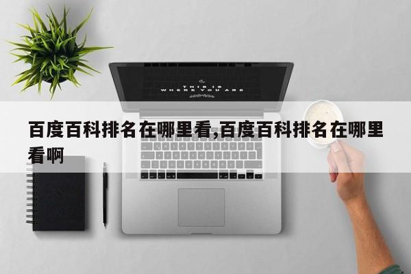 百度百科排名在哪里看,百度百科排名在哪里看啊