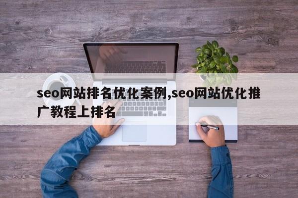 seo网站排名优化案例,seo网站优化推广教程上排名