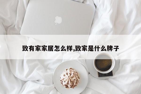 致有家家居怎么样,致家是什么牌子