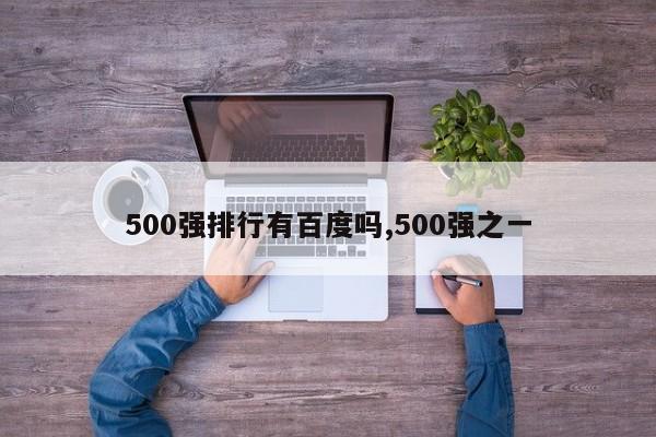 500强排行有百度吗,500强之一