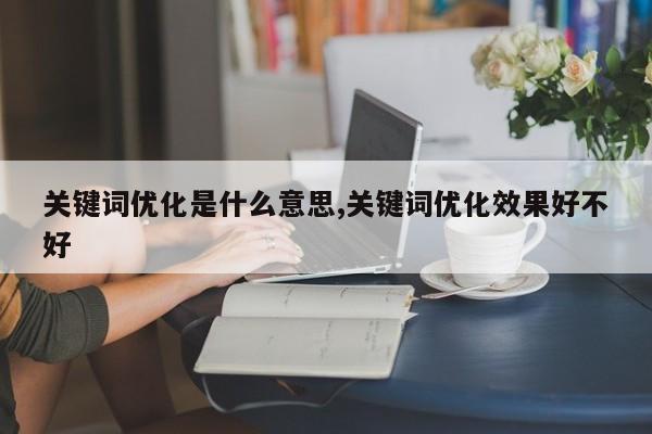 关键词优化是什么意思,关键词优化效果好不好