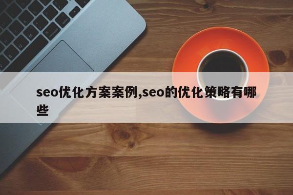 seo优化方案案例,seo的优化策略有哪些
