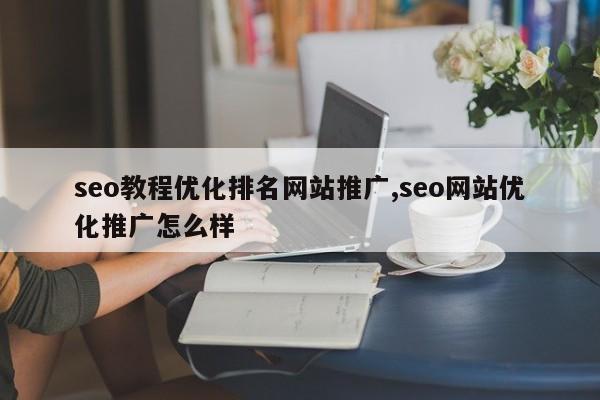 seo教程优化排名网站推广,seo网站优化推广怎么样