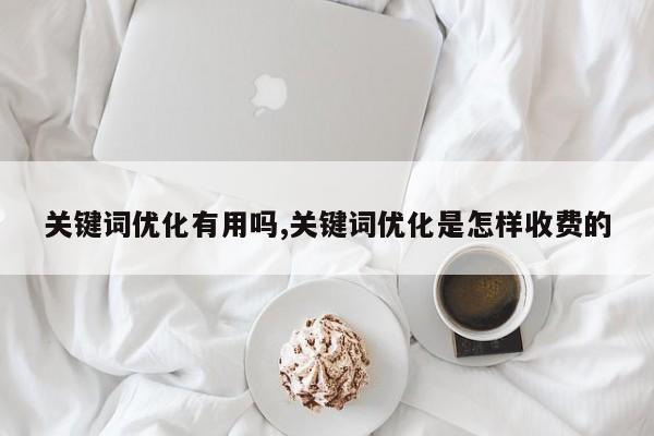 关键词优化有用吗,关键词优化是怎样收费的