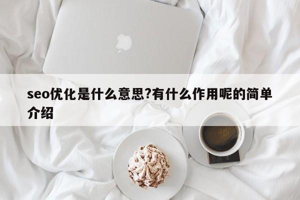 seo优化是什么意思?有什么作用呢的简单介绍