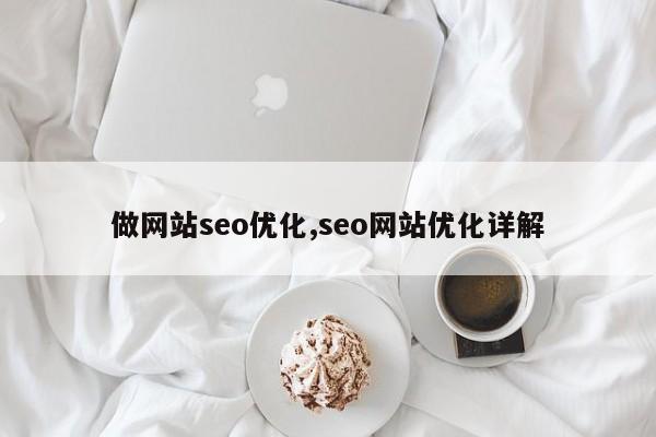 做网站seo优化,seo网站优化详解