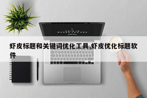 虾皮标题和关键词优化工具,虾皮优化标题软件