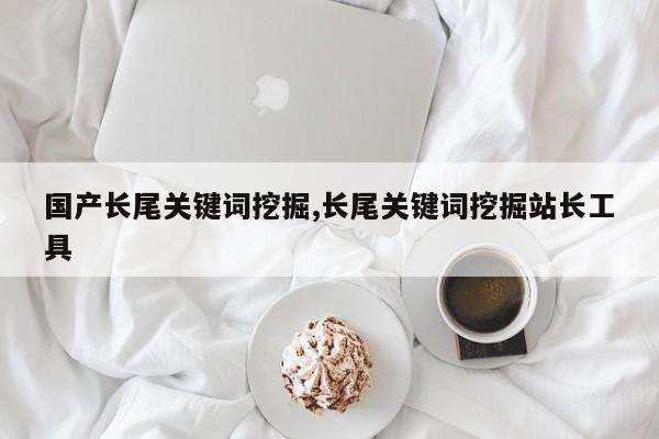 国产长尾关键词挖掘,长尾关键词挖掘站长工具