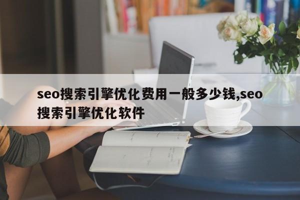 seo搜索引擎优化费用一般多少钱,seo搜索引擎优化软件