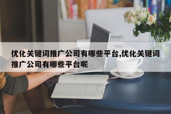 优化关键词推广公司有哪些平台,优化关键词推广公司有哪些平台呢