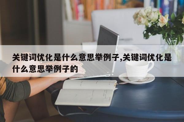 关键词优化是什么意思举例子,关键词优化是什么意思举例子的