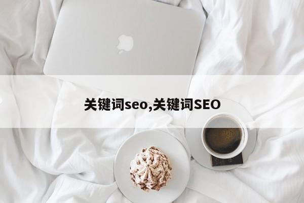 关键词seo,关键词SEO