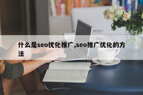 什么是seo优化推广,seo推广优化的方法