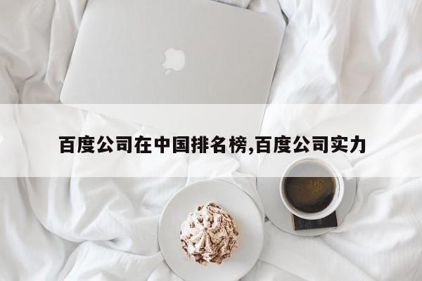 百度公司在中国排名榜,百度公司实力