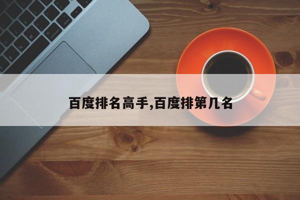 百度排名高手,百度排第几名