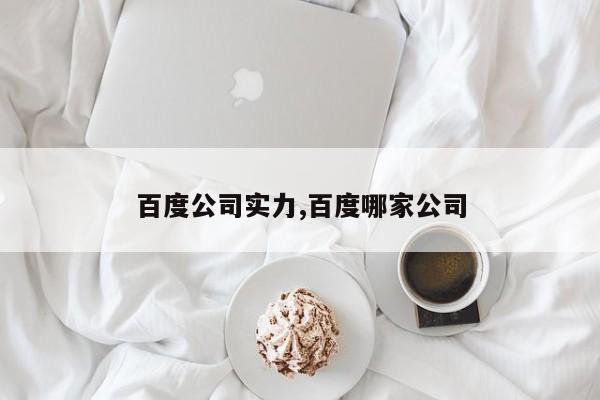 百度公司实力,百度哪家公司
